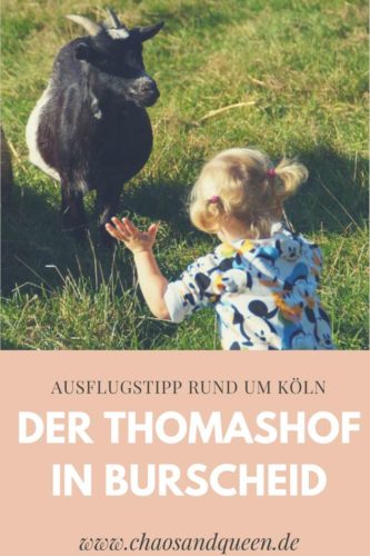 Ausflug rund um Köln Thomashof Burscheid